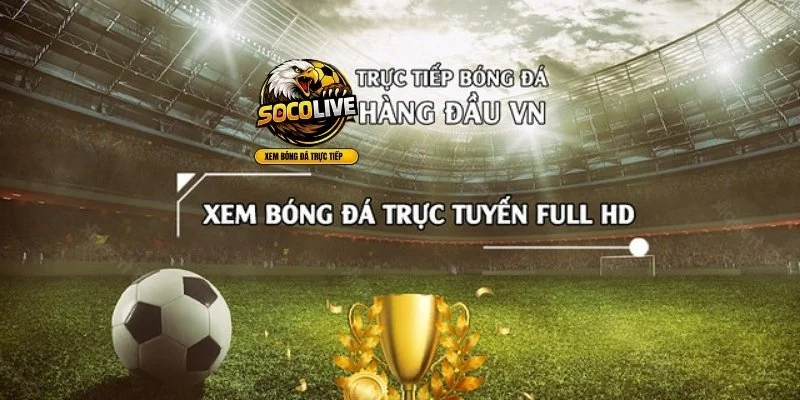 Socolive và  nền tảng khác - Ai nên được ưu tiên hơn?